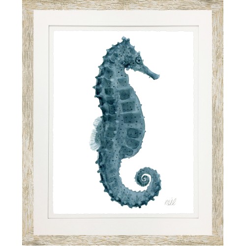 KS- SEAHORSE 1